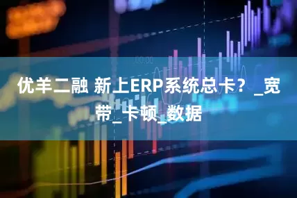优羊二融 新上ERP系统总卡？_宽带_卡顿_数据