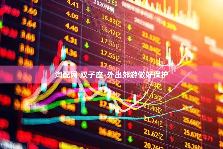 淘配网 双子座-外出郊游做好保护